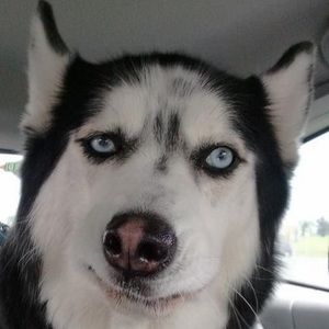 Meet your Posher, Lindsay